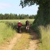 IMG_8655